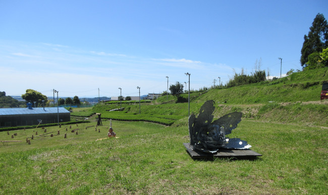 photo5